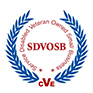 SDVOSB